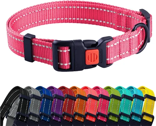 CollarDirect - Collar de seguridad reflejante para perro, con hebilla ajustable de nailon, para perros pequeños, medianos, grandes, en color rosa,