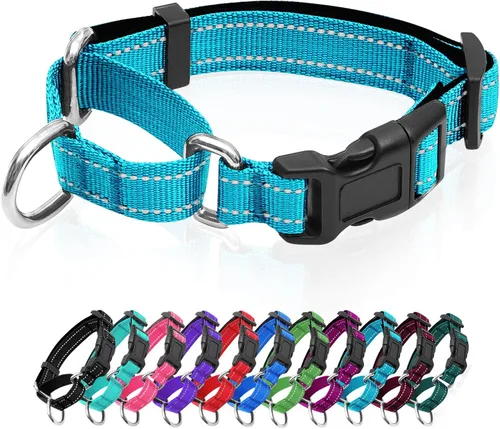 Miniatura 18 de Collares de perro Martingala reflectantes. Collar de perro con hebilla de liberación rápida. Collar ajustable de nailon transpirable acolchado suave