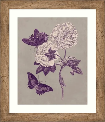 Miniatura 16 de Amanti Art Lienzo decorativo para pared, 24 x 20 pulgadas, estudio de la naturaleza en ciruela y gris pardo IV por Maria Merian, arte de pared