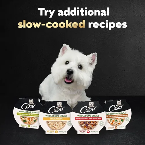 Miniatura 8 de Cesar Wholesome Bowls - Comida húmeda para perros adultos, carne de res, pollo, patatas moradas y zanahorias, comida húmeda para perros, 3 oz. por