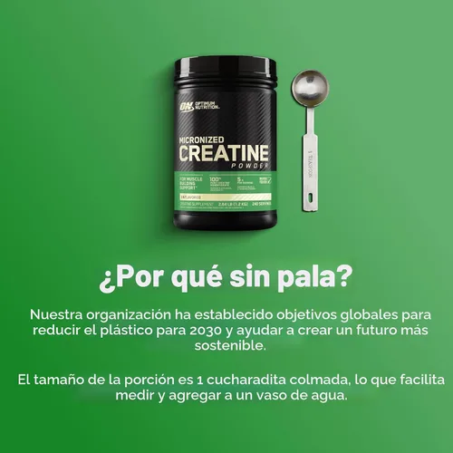 Miniatura 7 de Optimum Nutrition Creatina Micronizada Monohidrato en polvo, sin sabor, 240 porciones, 1200 gramos (el embalaje puede variar)