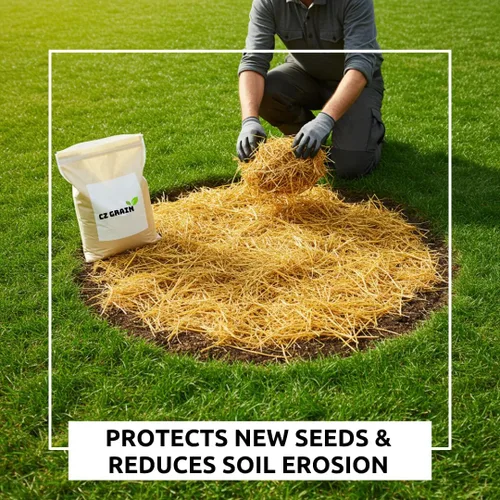 Miniatura 5 de Paja de trigo 100% natural para cama de animales, mantillo de jardín, compost y fertilizante, y cobertura de césped (2 libras)