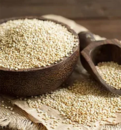 Miniatura 5 de Quinoa real de grano entero orgánico sin OMG, sin gluten, a granel (18 libras)