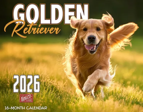 The KING Company-Monster Calendars - Calendario de pared 2026 de 16 meses, tamaño XL, 14 x 22 pulgadas, calendario de perro retriever