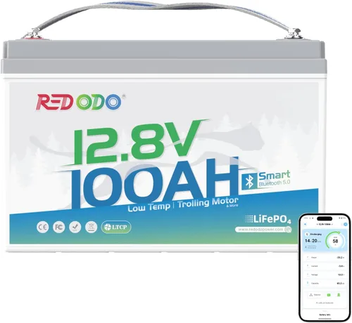 Miniatura 12 de Redodo Batería LiFePO4 de litio de 12 V 100 Ah, batería del grupo 31 integrada en BMS de 100 A, hasta 15000 ciclos, 10 años de vida útil, perfecta