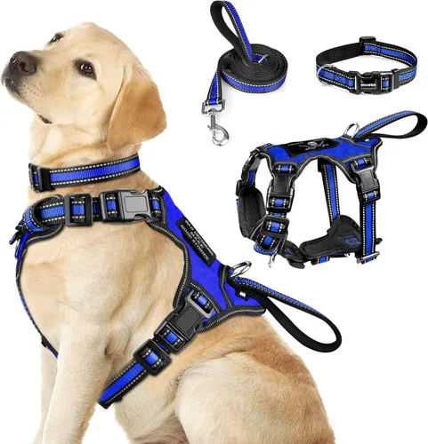 WINSEE Juego de arnés para mascotas, collar y correa, arnés reflectante todo en uno para perro, sin tirones, con hebillas ajustables para cachorros,