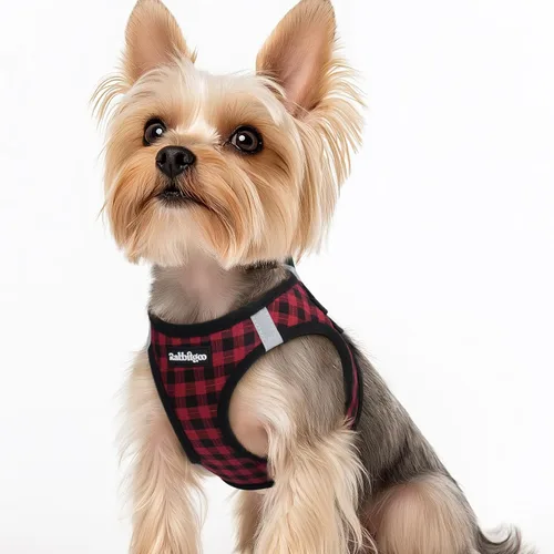 Miniatura 118 de rabbitgoo Arnés para perro pequeño, chaleco de malla suave para cachorros con hebilla de seguridad, arnés reflectante transpirable para mascotas