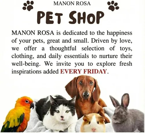 Miniatura 6 de MANON ROSA Ropa para perro: impermeable y de secado rápido para cachorros con capucha y agujero para correa, lindo poncho de lluvia con capucha