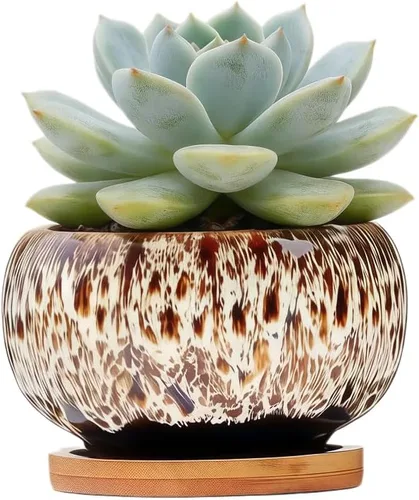Miniatura 64 de Bonita maceta circular de cerámica para decoración del hogar y jardín, suculentas, cactus, maceta no incluida (azul, 3.19 pulgadas)