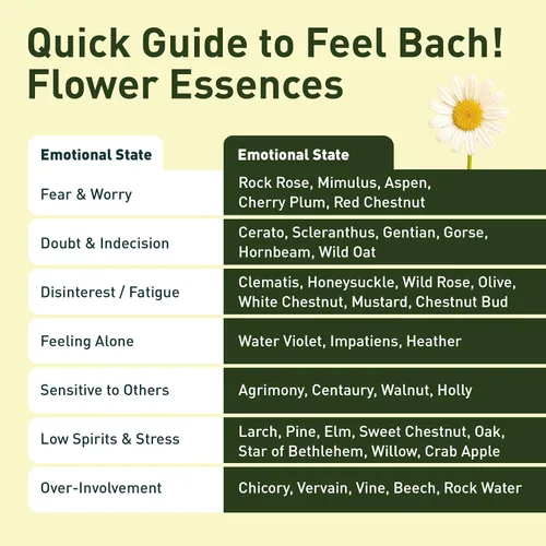 Miniatura 5 de Feel Bach! Flower Essence Dropper Madreselva, 0.7 fl oz, 0.7 fl oz