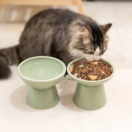 Miniatura 7 de CEEFU 2 cuencos elevados de cerámica para gatos extra anchos para alimentos y agua, plato de comida poco profunda, sin plomo ni cadmio, altura Verde
