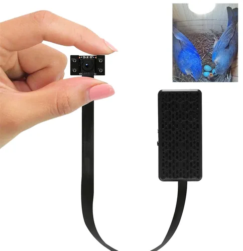 Cámara WiFi para Nido de Pájaros WIWACAM, Instantánea HD 4K Vídeo 2K, Diseñada para Nidos de Pájaros, para Robins, Golondrinas, Vídeo en Vivo al