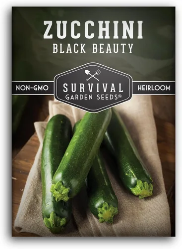 Black Beauty - Semillas de calabacín para plantar, variedad de calabaza de verano para cultivo de huertos, calabacín verde oscuro de alto