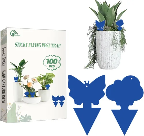 Miniatura 10 de 36 piezas de trampas adhesivas clásicas para mosquitos del hongo (plantas), moscas de la fruta, mosca blanca y mosca, trampas adhesivas amarillas 36