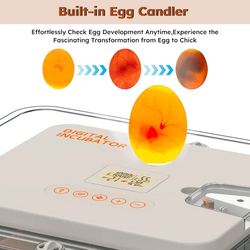 Miniatura 8 de Incubadora de huevos para incubar 56 huevos de pollo, pato, codorniz y ganso - Girador automático de huevos, control de humedad y temperatura, vela