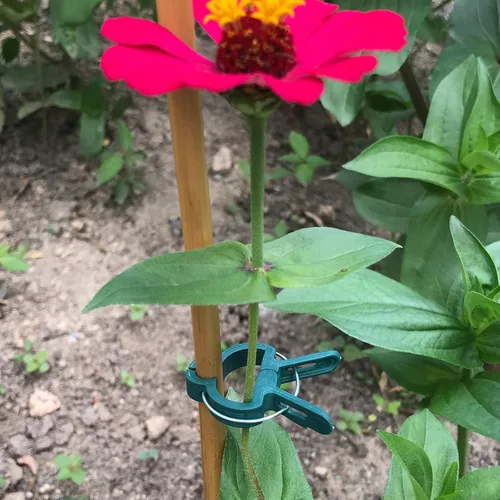 Miniatura 6 de Sago Brothers 40 clips de jardín para jaulas de tomate, clips de soporte de plantas para estacas de bambú, plantas trepadoras, enredaderas, clips