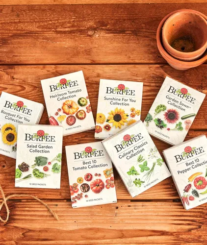 Miniatura 6 de Burpee Culinary Classics Garden Collection - 10 paquetes de cebollino sin OGM, cilantro, albahaca, salvia, tomillo, eneldo, perejil, manzanilla
