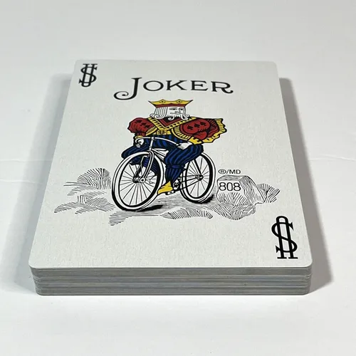 Miniatura 6 de Caja grande de bicicleta