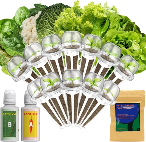 Miniatura 11 de Lyko Heirloom - Kit de vainas de semillas para ensalada AeroGarden, iDoo, Ahopegarden, GARDENCUBE, 7 cápsulas con lechuga American Fast/Paris