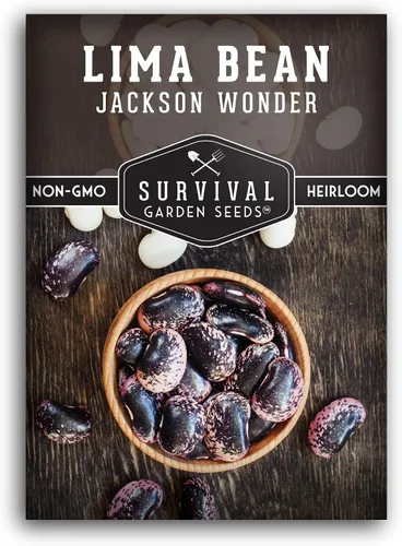 Jackson Wonder - Semillas de frijol de mantequilla moteadas para plantar, frijoles lima, variedad cremosa del sur, cápsulas moteadas únicas,