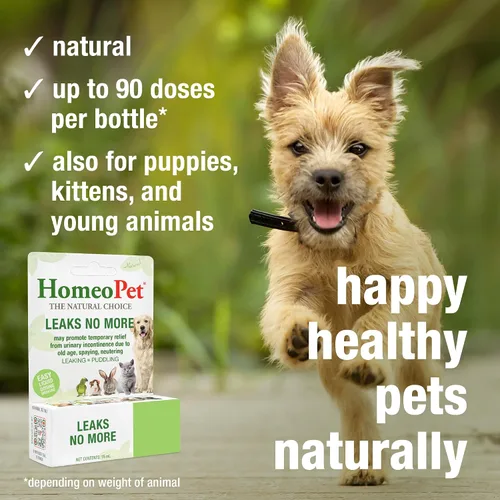 Miniatura 4 de HomeoPet No más fugas, alivio de la incontinencia urinaria para mascotas, medicina segura y natural para la incontinencia, 0.5 fl oz