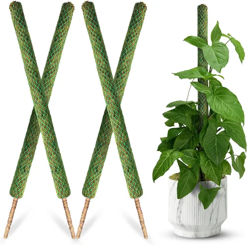 Miniatura 15 de DUSPRO Poste no doblable de 59 pulgadas para plantas trepadoras grandes, poste de musgo grande para Monstera, estacas para plantas