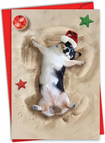 Miniatura 14 de The Best Card Company - Tarjeta de felicitación de Feliz Navidad con sobre (4.63 x 6.75 pulgadas) - Canine Antics C3194GXSG