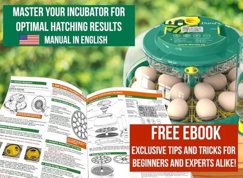 Miniatura 8 de Dural's DX5® Incubadora profesional de 18 huevos con giro automático y control de humedad Incubadora de huevos certificada por la FCC