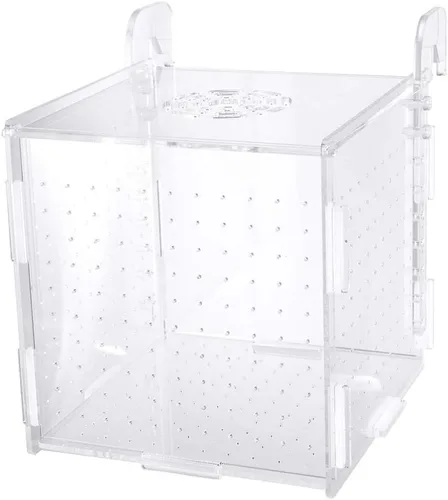 POPETPOP Caja de cría de peces, 2 cajas de incubadora de incubadora, cajas de cría de peces de acuario, cajas divisorias para eclosionar,