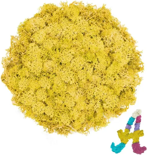 Musgo de reno amarillo preservado de 3.5 onzas para plantas en maceta, decoración artesanal para arte de pared, musgo falso para decoración de