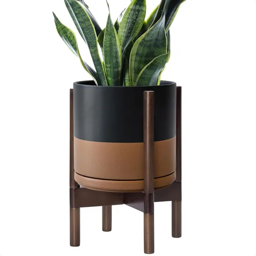 Miniatura 104 de D'vine Dev Maceta de cerámica con soporte de ébano – Maceta redonda moderna de 8 pulgadas con soporte para maceta de madera, color negro, 55-B-M-2