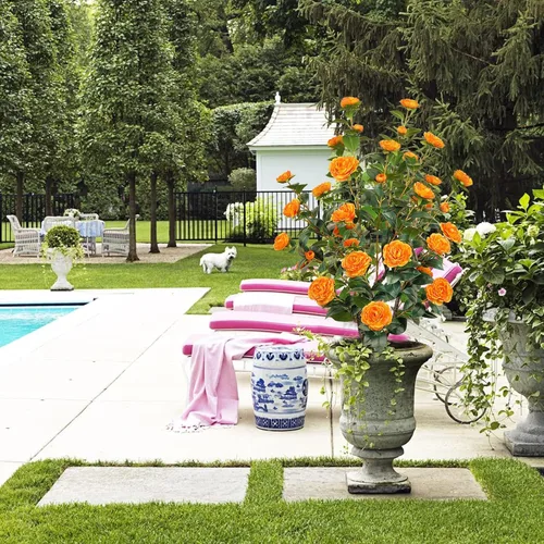 Miniatura 6 de Árbol artificial de 43.3 pulgadas / 3.6 pies con flores de camelia, árbol de otoño falso con 32 flores florecientes, árbol naranja para otoño