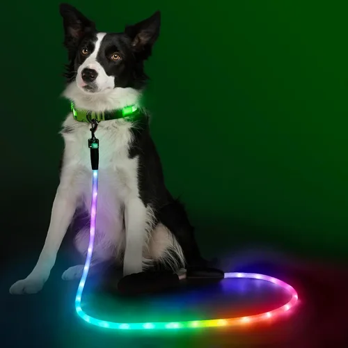 Miniatura 9 de YFbrite Correa de perro de 4 pies iluminada con 15 modos de parpadeo - Correa de perro LED súper brillante para perros pequeños, medianos y grandes