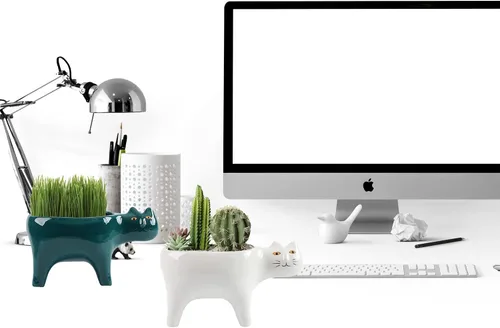 Miniatura 2 de DIYOMR Macetero de animales para suculentas, macetas de cerámica para gatos, contenedores de cactus o plantas para decoración del hogar, oficina