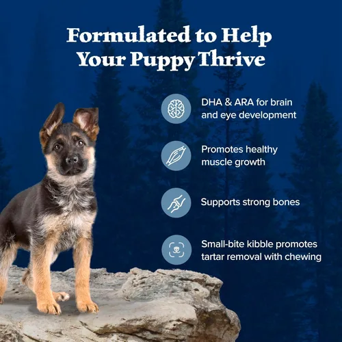 Miniatura 5 de Blue Buffalo Wilderness Puppy - Alimento seco para perros con alto contenido de proteínas con pollo real, sin granos, fabricado en los Estados