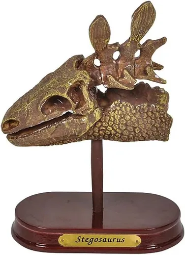 Miniatura 10 de ArtCreativity Kit de excavación de dinosaurios para niños, juego de excavación de cráneo de braquiosaurio con herramientas de excavación de fósiles
