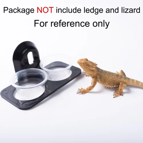 Miniatura 5 de SLSON Paquete de 100 tazas de comida y agua Gecko - Vasos de repisa para reptiles, gusanos, alimentador de gusanos de harina, para lagarto