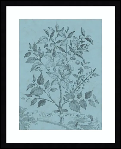 Miniatura 10 de Amanti Art Vision Studio - Póster enmarcado de 24 x 20 pulgadas, diseño botánico en V verde azulado por Vision Studio, arte de pared de naturaleza