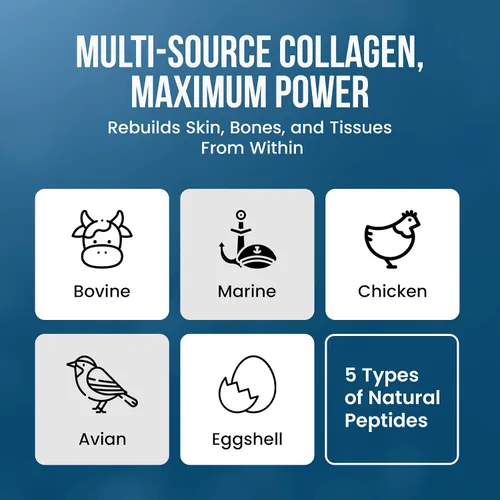Miniatura 6 de Wound Care Plus Suplemento Complejo de Colágeno – Péptidos de Colágeno Multi-Fuente (Bovino, Marino, Pollo, Cáscara de huevo) – Apoya la salud