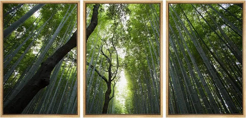 Miniatura 78 de wall26 Lienzo enmarcado para pared, juego de arte debajo de los tallos de bambú verde, naturaleza, desierto, fotografía, realismo, contemporáneo