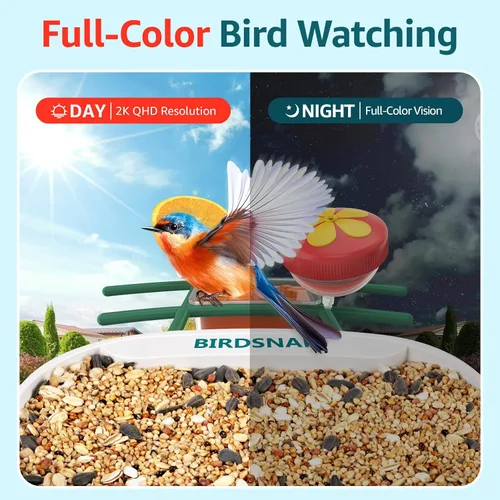 Miniatura 6 de birdsnap® TUC - Comedero para pájaros con cámara 2K HD en vivo con tarjeta de 32 GB, detección y notificación automática de inteligencia artificial