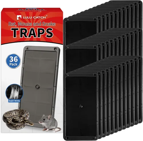 Miniatura 12 de LULUCATCH Trampas para ratones, paquete de 4, trampas de pegamento más grandes y pesadas para ratones, ratas y serpientes, trampas adhesivas