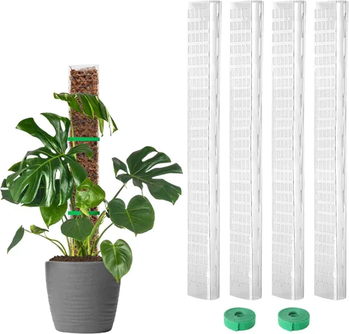 EOX 4 postes de musgo de plástico de 24 pulgadas para Monstera, postes grandes en forma de D para plantas trepadoras, funcionan con musgo esfagnum,