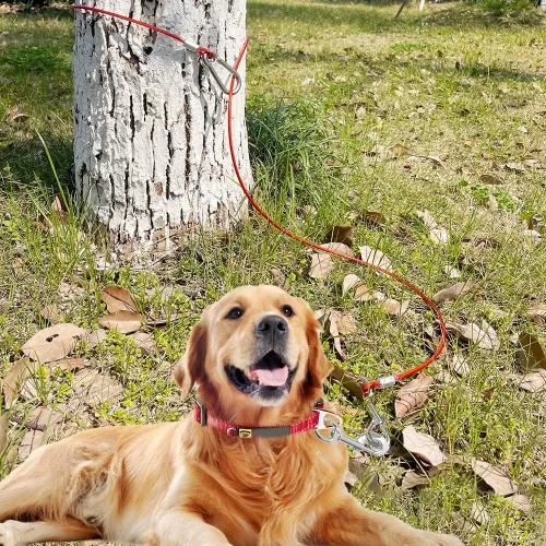 Miniatura 5 de Correa para perro a prueba de mordidas, cable de amarre de 5 pies con asa de correas cortas desmontables para perros, cable trenzado no masticable