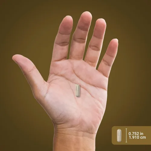 Miniatura 7 de Piping Rock Pygeum 100 mg 240 cápsulas Suplemento para hombres y mujeres Extracto de corteza de Pygeum Africanum Fitoesteroles ultra