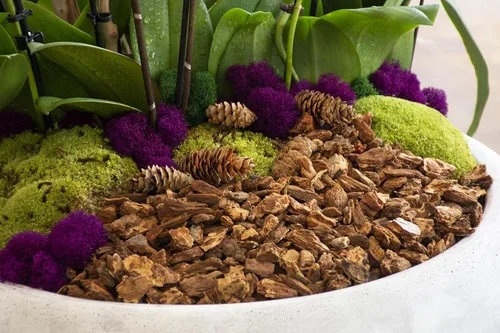 Miniatura 7 de SuperMoss (23114) Corteza para macetas de orquídeas, natural, 4 cuartos de galón