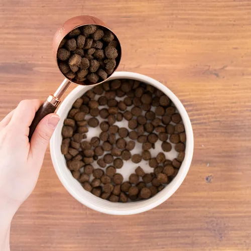 Miniatura 3 de Wholesomes Alimento seco para perros con piel sensible y estómago, receta de proteína de cordero y arroz, granos antiguos altamente digeribles