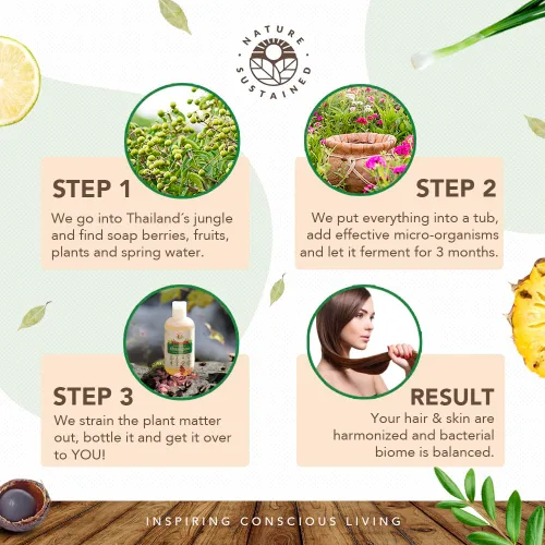 Miniatura 4 de Nature Sustained Champú Natural para Cabello Seco y Cuero Cabelludo - Orgánico, Crudo y Silvestre con Probióticos, Hipoalergénico, Champú Hidratante