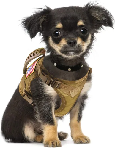 Miniatura 8 de Arnés táctico para perro pequeño, a prueba de escapes, chaleco militar para perro con mango vertical, arnés ajustable XS para cachorros con Negro