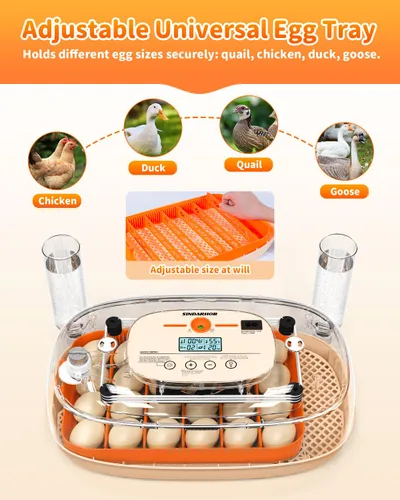 Miniatura 7 de Incubadora de huevos para 24 huevos de gallina con girador automático, control digital de temperatura y pantalla de humedad, vela, criador de aves
